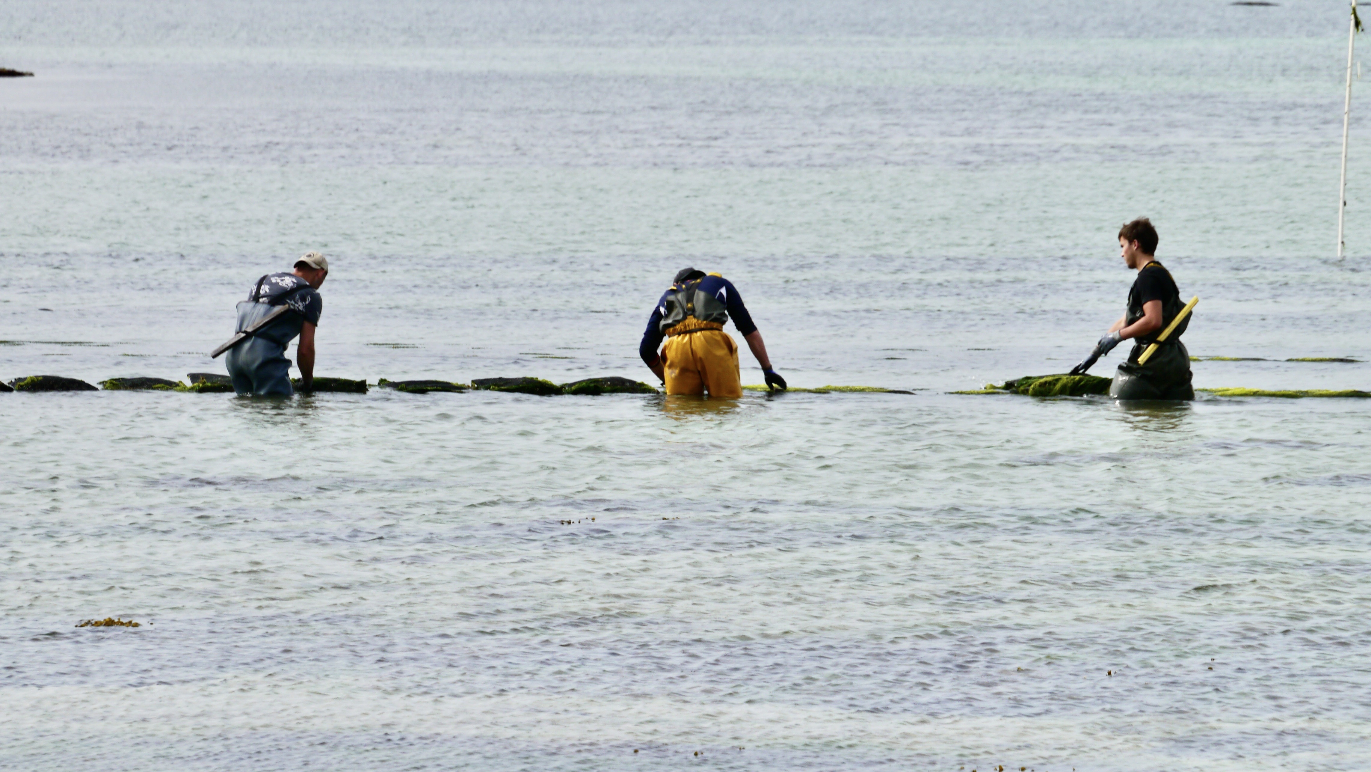 Bretagne