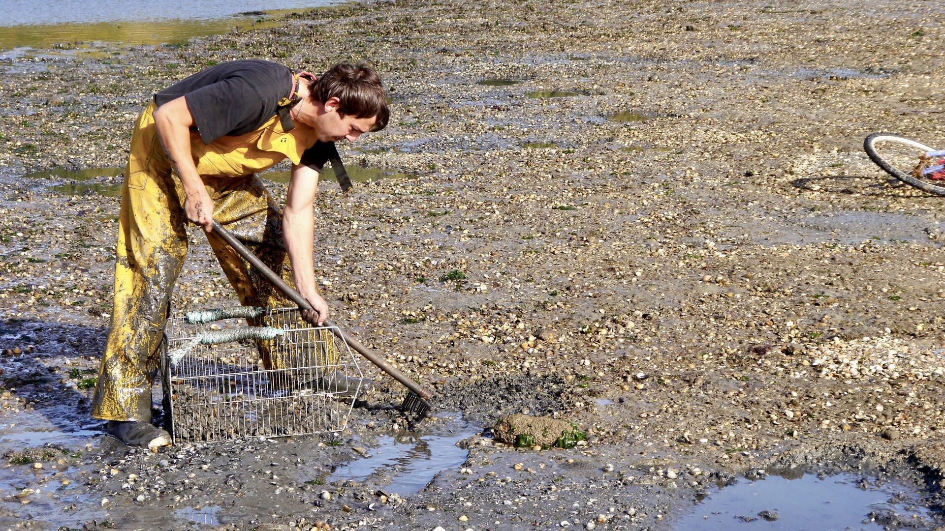 Strandfischen in der Bretagne