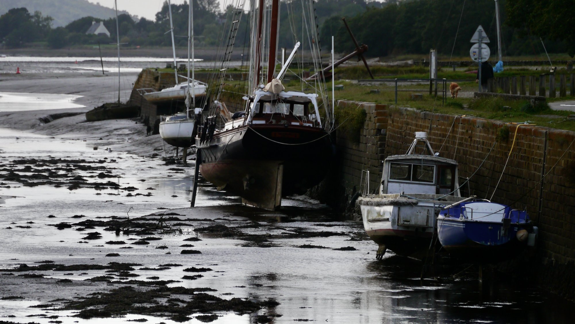 Hafen bei Ebbe, Bretagne
